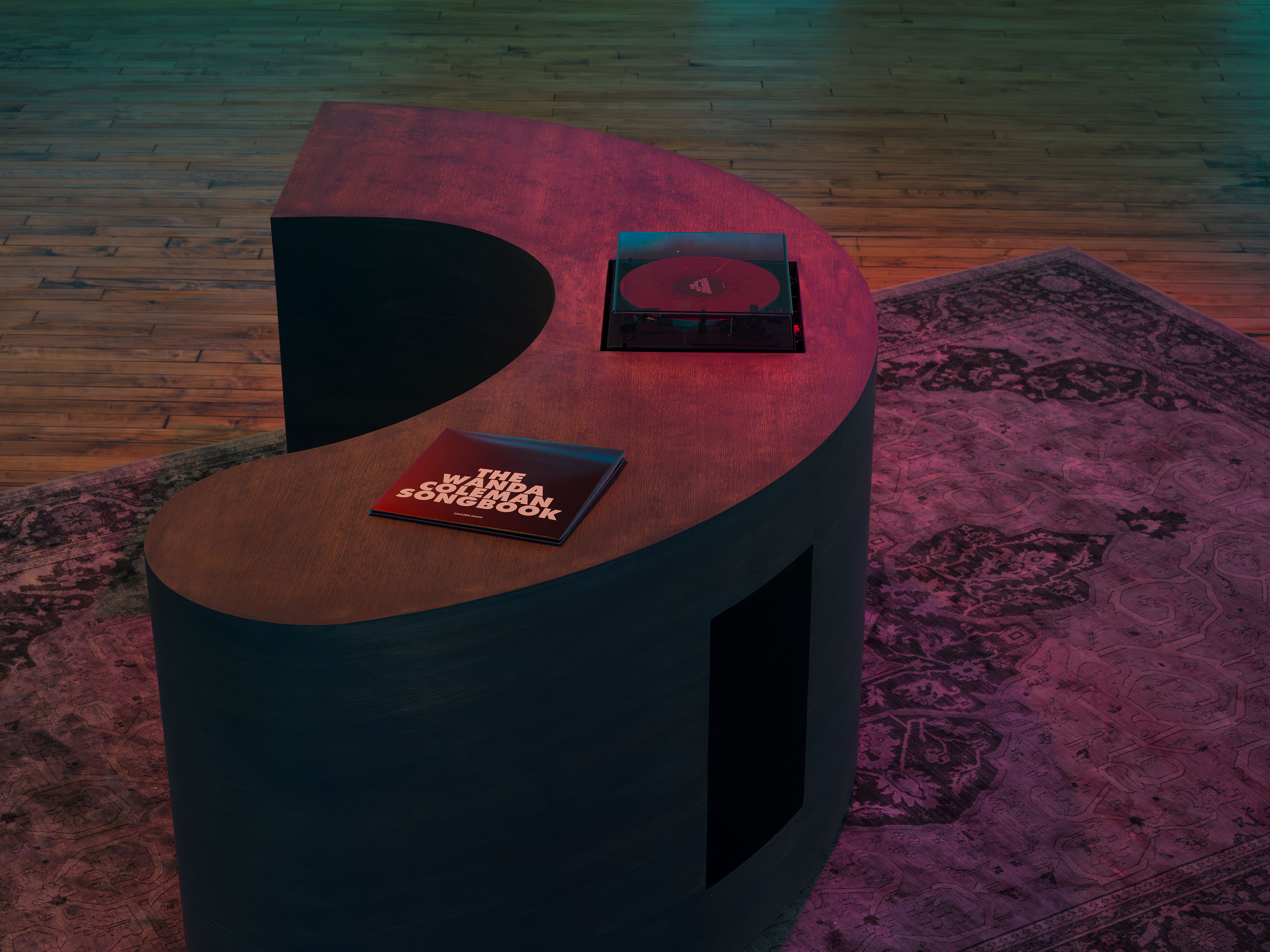 Cauleen Smith_52 Walker_10.jpg