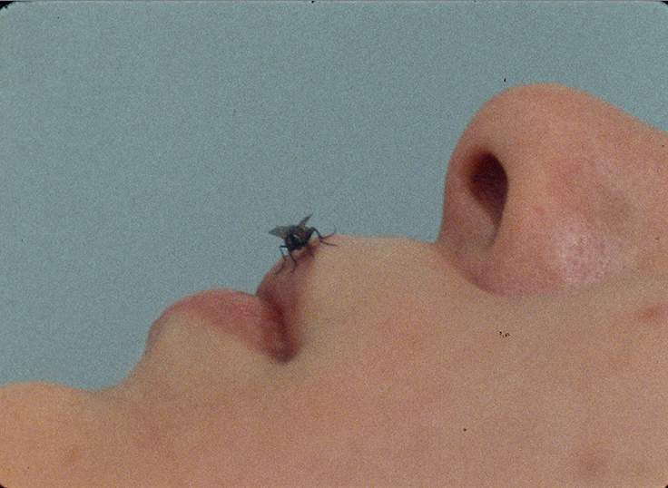 Yoko Ono FLY 1970-1, directed by Yoko Ono & John Lennon.jpg